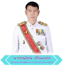 ผู้อำนวยการ สทส.