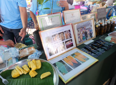 เข้าร่วมโครงการ“หน่วยบำบัดทุกข์ บำรุงสุข” ครั้งที่ 3/2567 พารามิเตอร์รูปภาพ 17