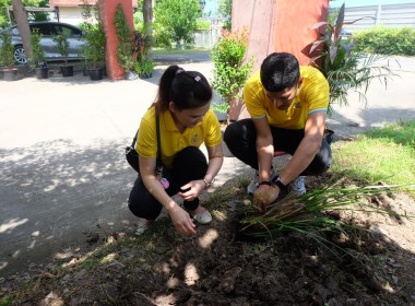 เข้าร่วมงานโครงการรณรงค์และส่งเสริมการปลูกหญ้าแฝก ณ ... พารามิเตอร์รูปภาพ 24