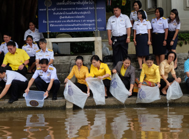 เข้าร่วมกิจกรรม ปล่อยพันธุ์สัตว์น้ำเนื่องในวันประมงแห่งชาติ ... พารามิเตอร์รูปภาพ 16