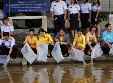 เข้าร่วมกิจกรรม ปล่อยพันธุ์สัตว์น้ำเนื่องในวันประมงแห่งชาติ ... พารามิเตอร์รูปภาพ 17