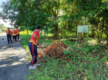 Big Cleaning Day“ ครั้งที่ 2 พารามิเตอร์รูปภาพ 12