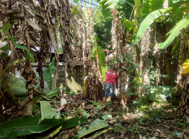 ร่วมแรงร่วมใจทำความสะอาด ... พารามิเตอร์รูปภาพ 8