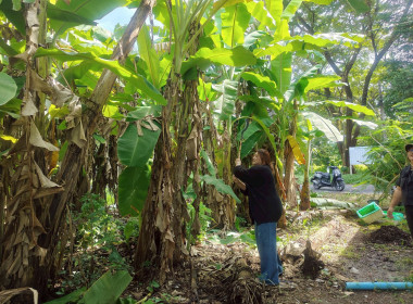 ร่วมแรงร่วมใจทำความสะอาด ... พารามิเตอร์รูปภาพ 13