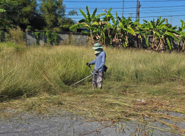 ปรับภูมิทัศน์ภายในและภายนอกสำนักงาน ตามหลักกิจกรรม 5 ส. พารามิเตอร์รูปภาพ 15