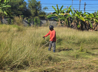 ปรับภูมิทัศน์ภายในและภายนอกสำนักงาน ตามหลักกิจกรรม 5 ส. พารามิเตอร์รูปภาพ 16