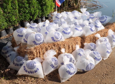 เข้าร่วมงานวันดินโลก 5 ธันวาคม (Worid Soil Day) ... พารามิเตอร์รูปภาพ 7