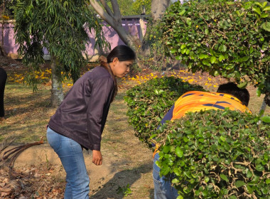 ร่วมแรงร่วมใจทำความสะอาด ... พารามิเตอร์รูปภาพ 15