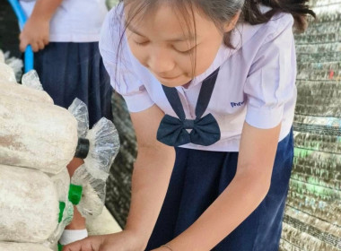 เข้าต้อนรับ นายณัฐพล แป้นนอก ผู้ตรวจราชการกรมส่งเสริมสหกรณ์ ... พารามิเตอร์รูปภาพ 12