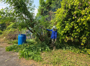 Big Cleaning Day โครงการกิจกรรม 5 ส. "สะสาง สะดวก สะอาด ... พารามิเตอร์รูปภาพ 13
