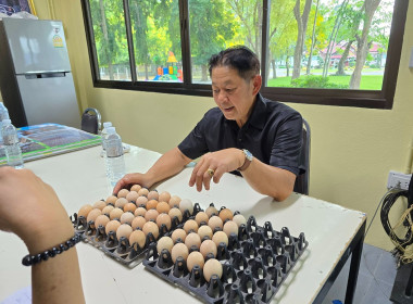 เข้าประสานงานเพื่อขอรับการสนุนพันธุ์ไก่ ... พารามิเตอร์รูปภาพ 20