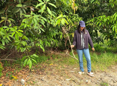 Big Cleaning Day โครงการกิจกรรม 5 ส. "สะสาง สะดวก สะอาด ... พารามิเตอร์รูปภาพ 7