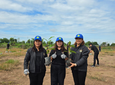 จัดโครงการอาสาสมัครสหกรณ์ กิจกรรมพัฒนาอาสาสมัครสหกรณ์ ... พารามิเตอร์รูปภาพ 40