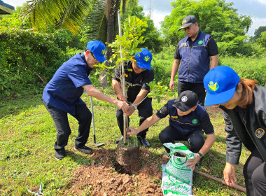 โครงการอาสาสมัครสหกรณ์ กิจกรรมพัฒนาอาสาสมัครสหกรณ์ ... พารามิเตอร์รูปภาพ 46
