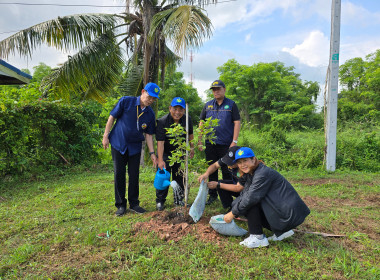โครงการอาสาสมัครสหกรณ์ กิจกรรมพัฒนาอาสาสมัครสหกรณ์ ... พารามิเตอร์รูปภาพ 48