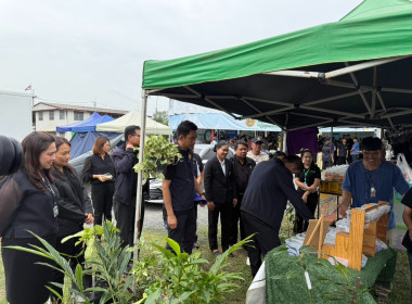 เข้าร่วมพิธีเปิดโครงการ “ไทยช่วยไทย ลดภาระปัจจัยการผลิต : ... พารามิเตอร์รูปภาพ 18