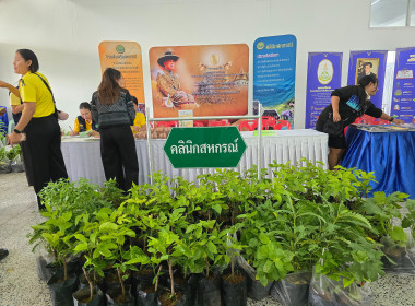 จัดโครงการอาสาสมัครสหกรณ์ กิจกรรมพัฒนาอาสาสมัครสหกรณ์ ณ ... พารามิเตอร์รูปภาพ 32