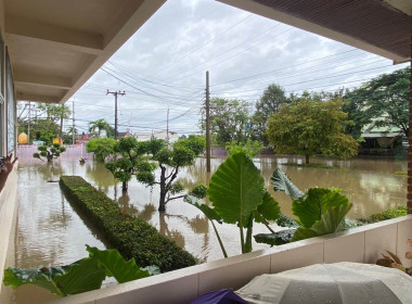 สถานการณ์ปัจจุบัน ... พารามิเตอร์รูปภาพ 4