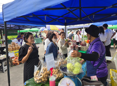 เข้าร่วมกิจกรรม “ตลาดฮีลใจ” ... พารามิเตอร์รูปภาพ 5